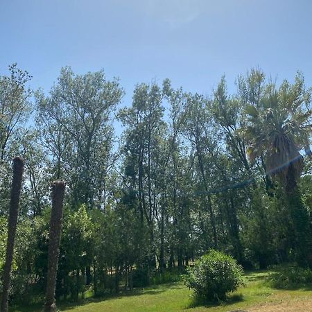 Chalet En Pleine Nature La Roquette-sur-Siagne Exterior foto