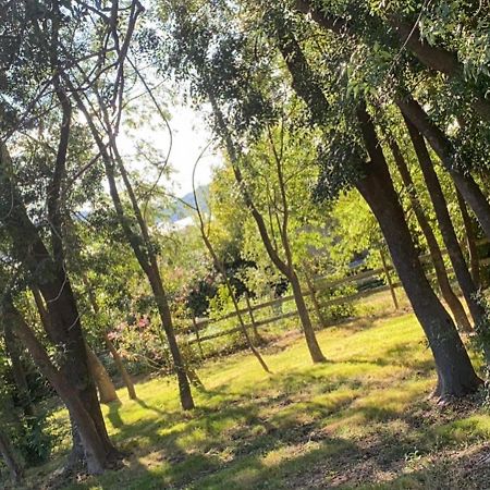 Chalet En Pleine Nature La Roquette-sur-Siagne Exterior foto
